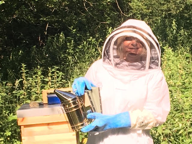 Volunteer Viv Barclay making her first hive inspection. 